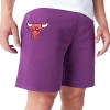 New Era NBA Chicago Bulls League Essential Shorts ''Lila''