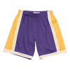 M&N NBA Los Angeles Lakers 1984-85 Road Swingman Shorts ''Purple''