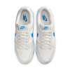 Nike Dunk Low Retro ''Photo Blue''